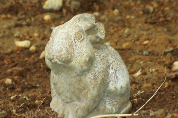 stone bunny