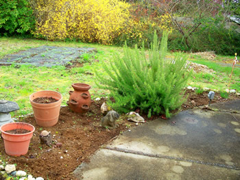 Herb Garden After