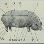 Ham Hock versus Ham Shank