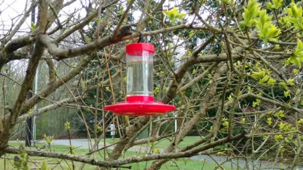 New hummingbird feeder